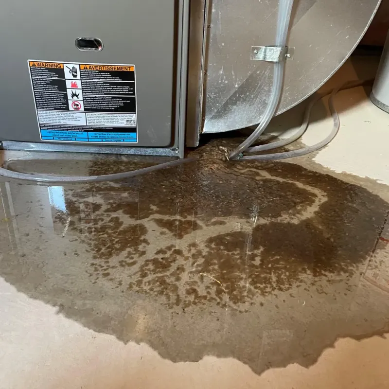 Appliance Leak Cleanup in Wacousta, MI