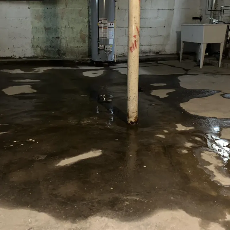Emergency Water Extraction And Removal in Wacousta, MI
